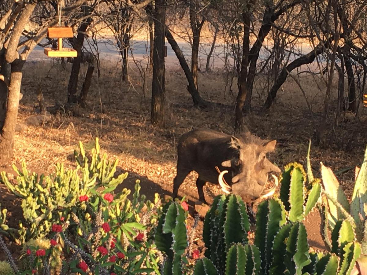 Giraffe Lodge Hoedspruit Eksteriør billede