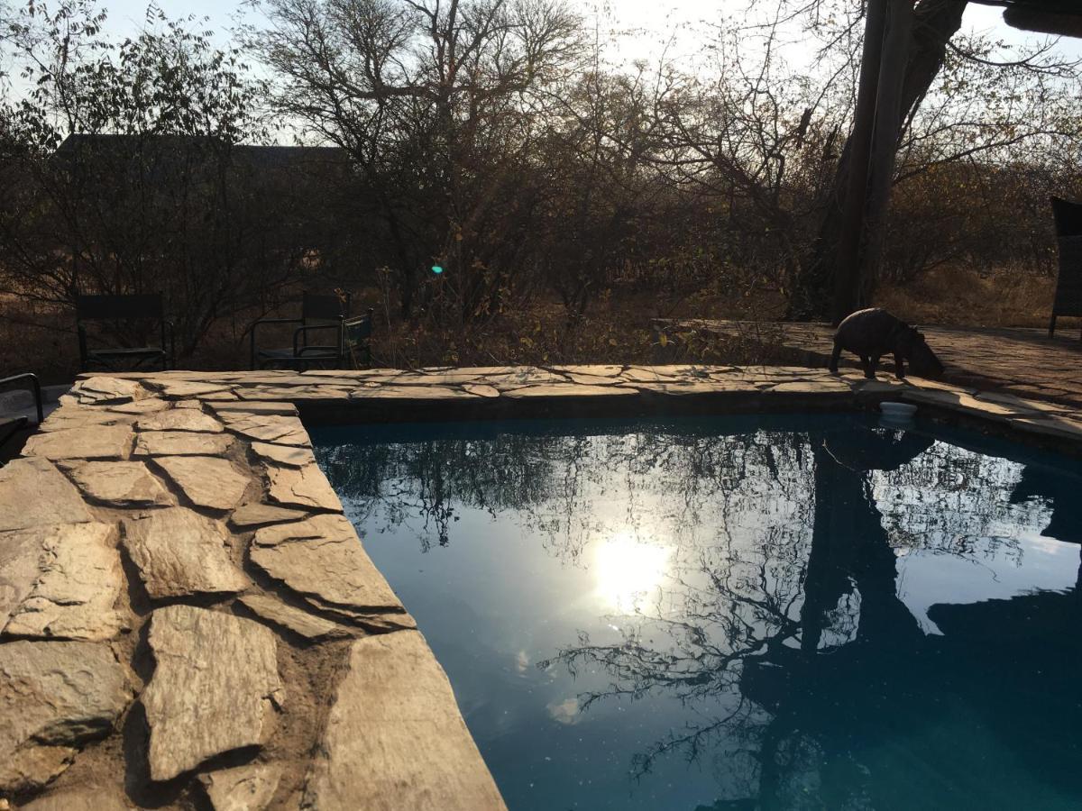 Giraffe Lodge Hoedspruit Eksteriør billede
