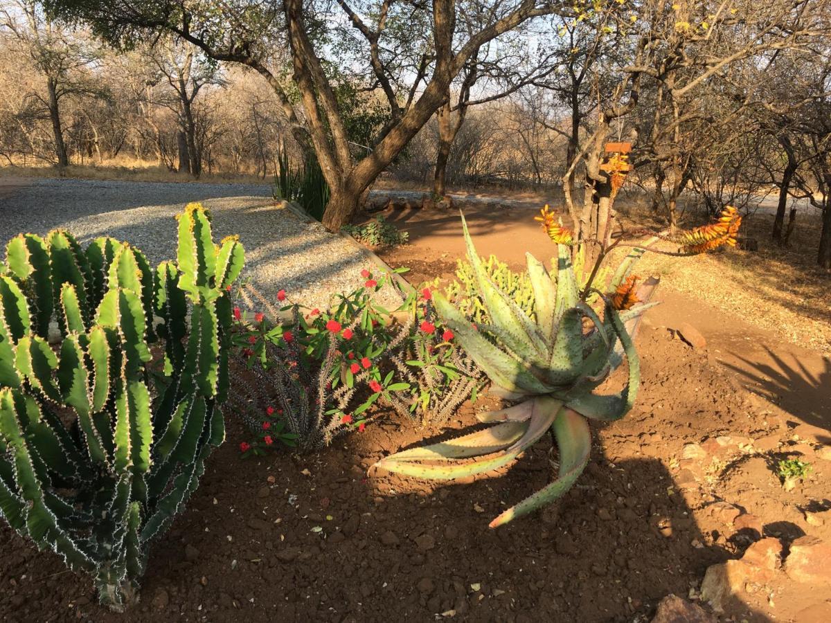 Giraffe Lodge Hoedspruit Eksteriør billede