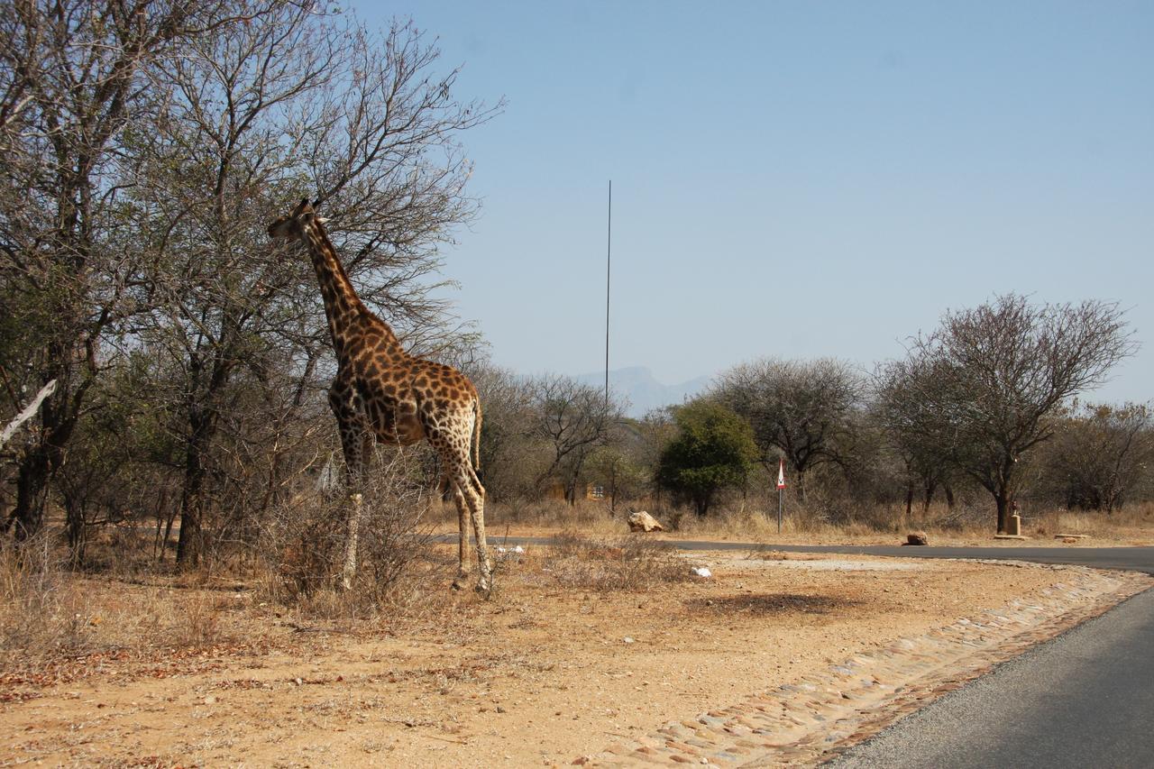 Giraffe Lodge Hoedspruit Eksteriør billede