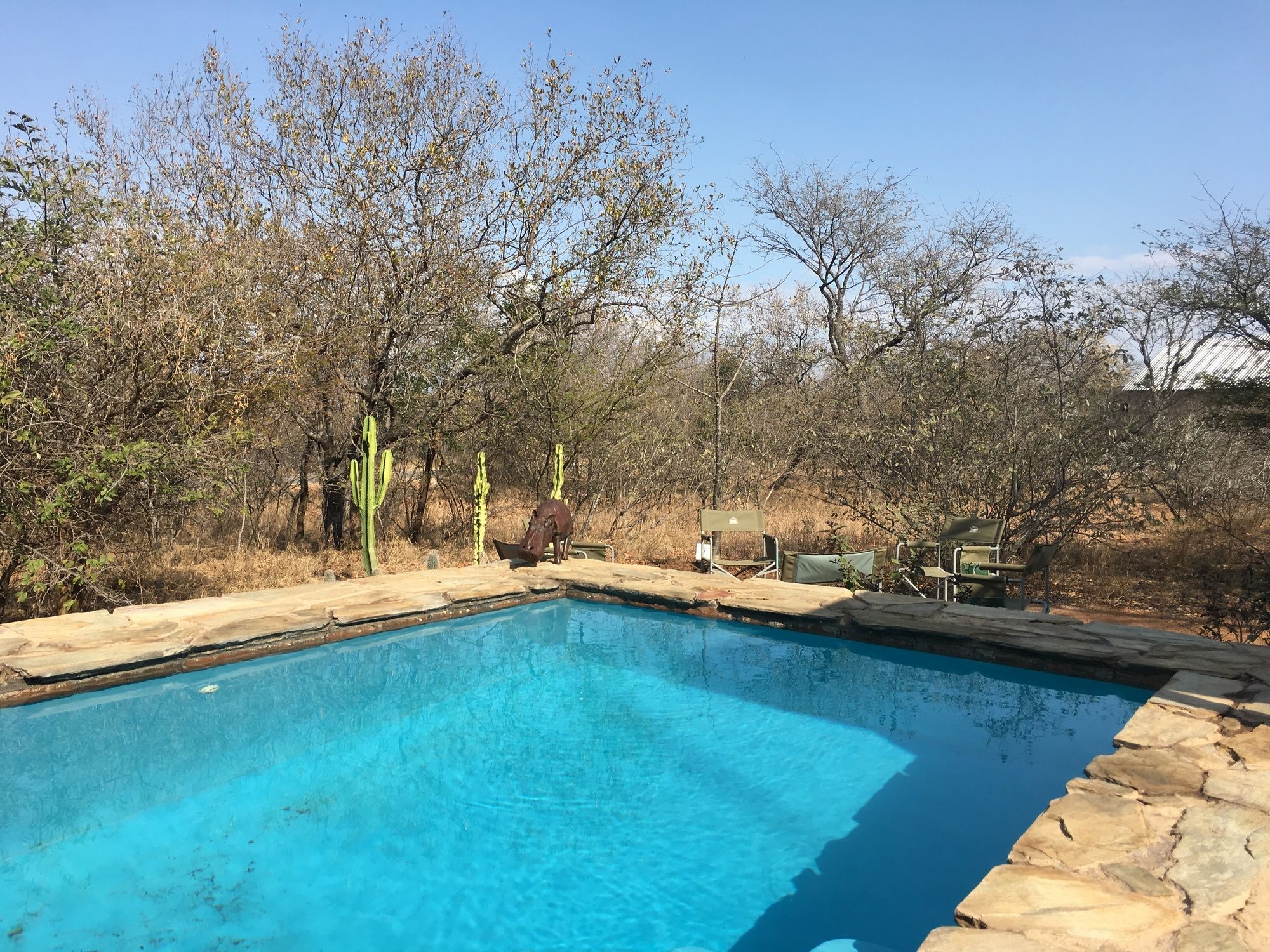 Giraffe Lodge Hoedspruit Eksteriør billede